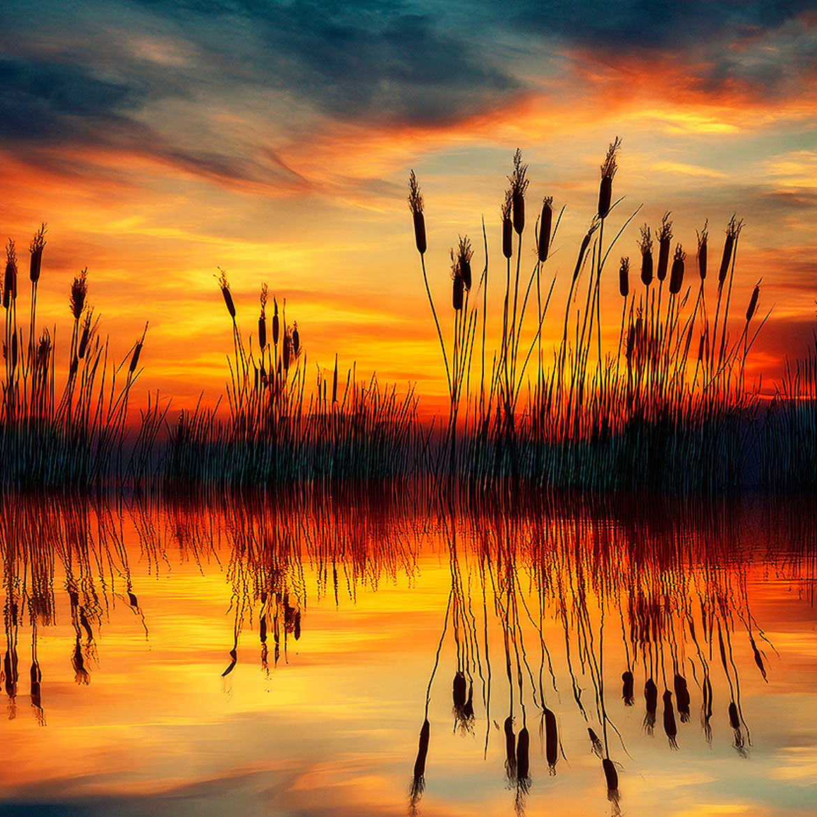 Amber Reeds - Photo Square Insert
