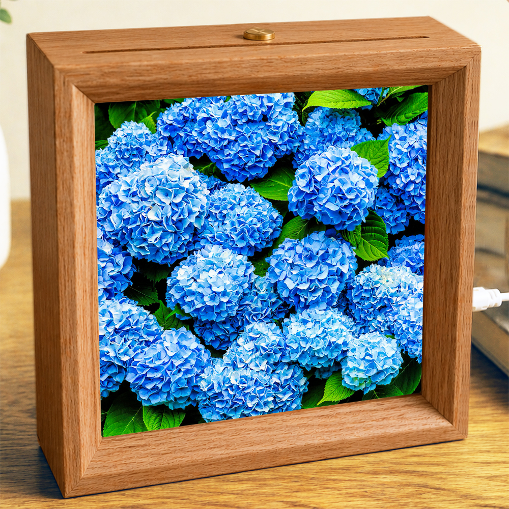 Blue Hydrangeas - Photo Square