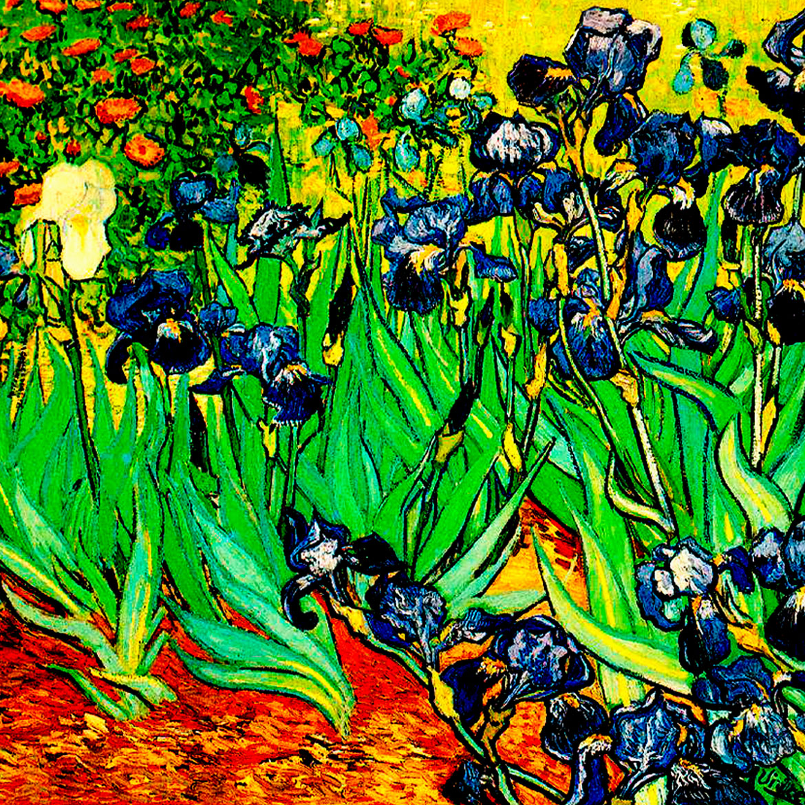 Irises - Photo Square Insert
