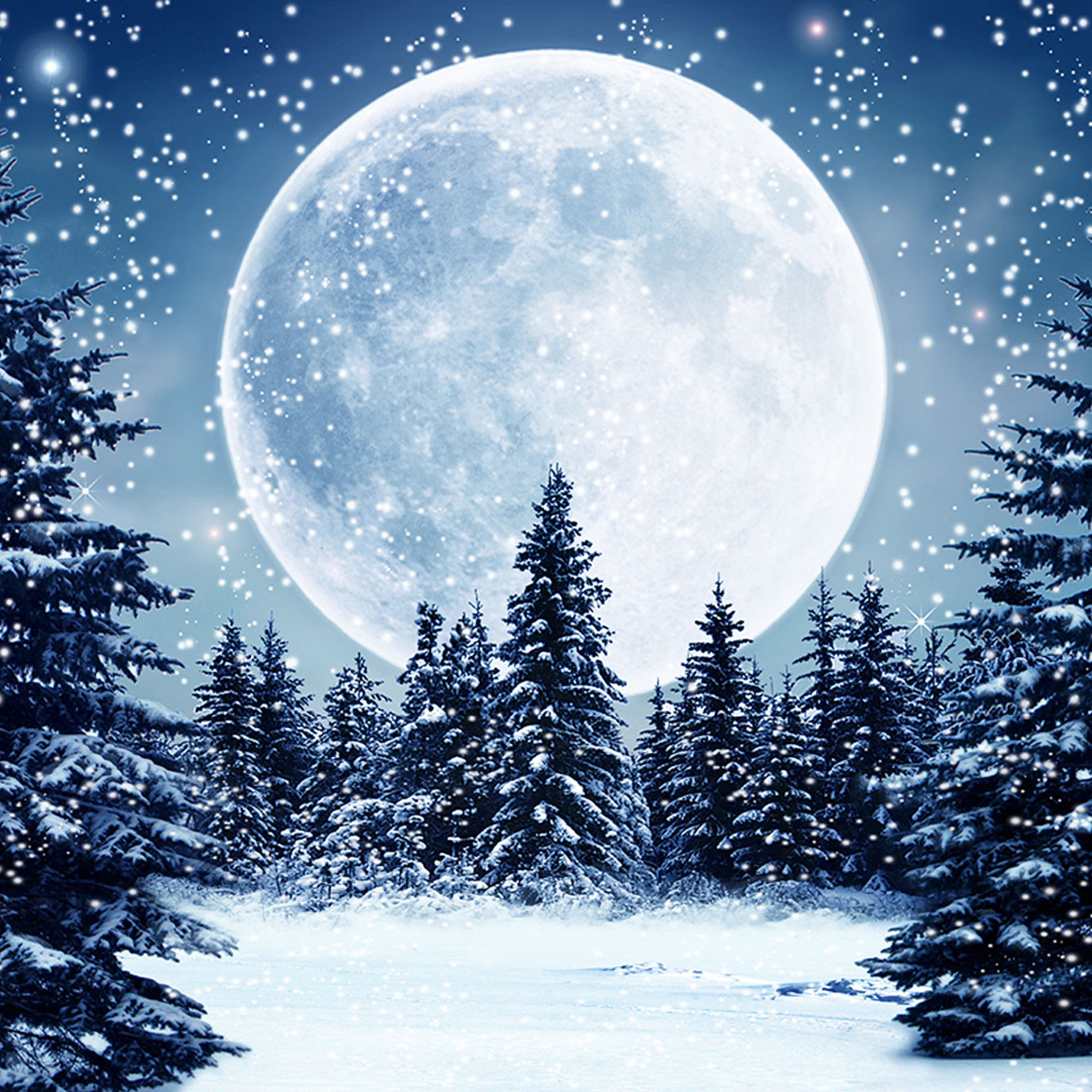Winter Moon - Photo Square Insert