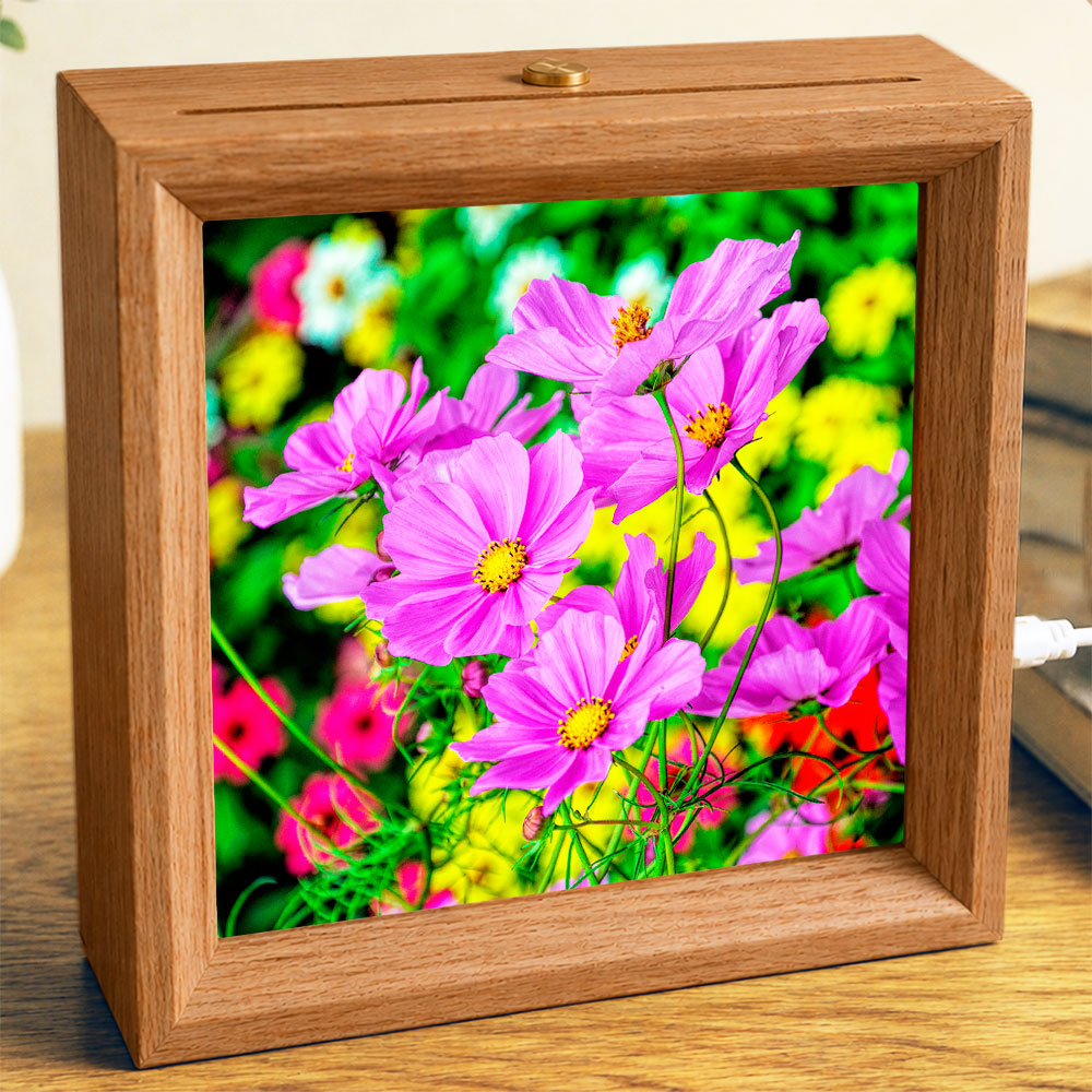 Colorful Cosmos - Photo Square