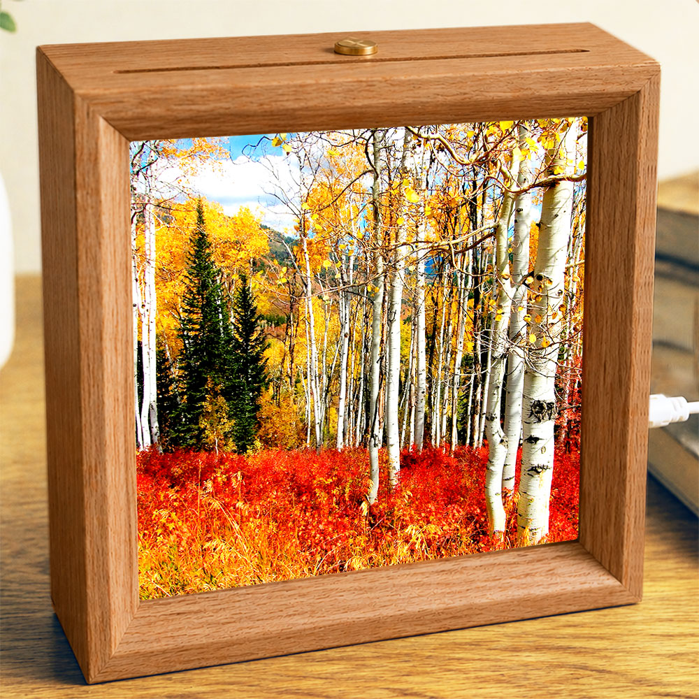 Fall Splendor - Photo Square