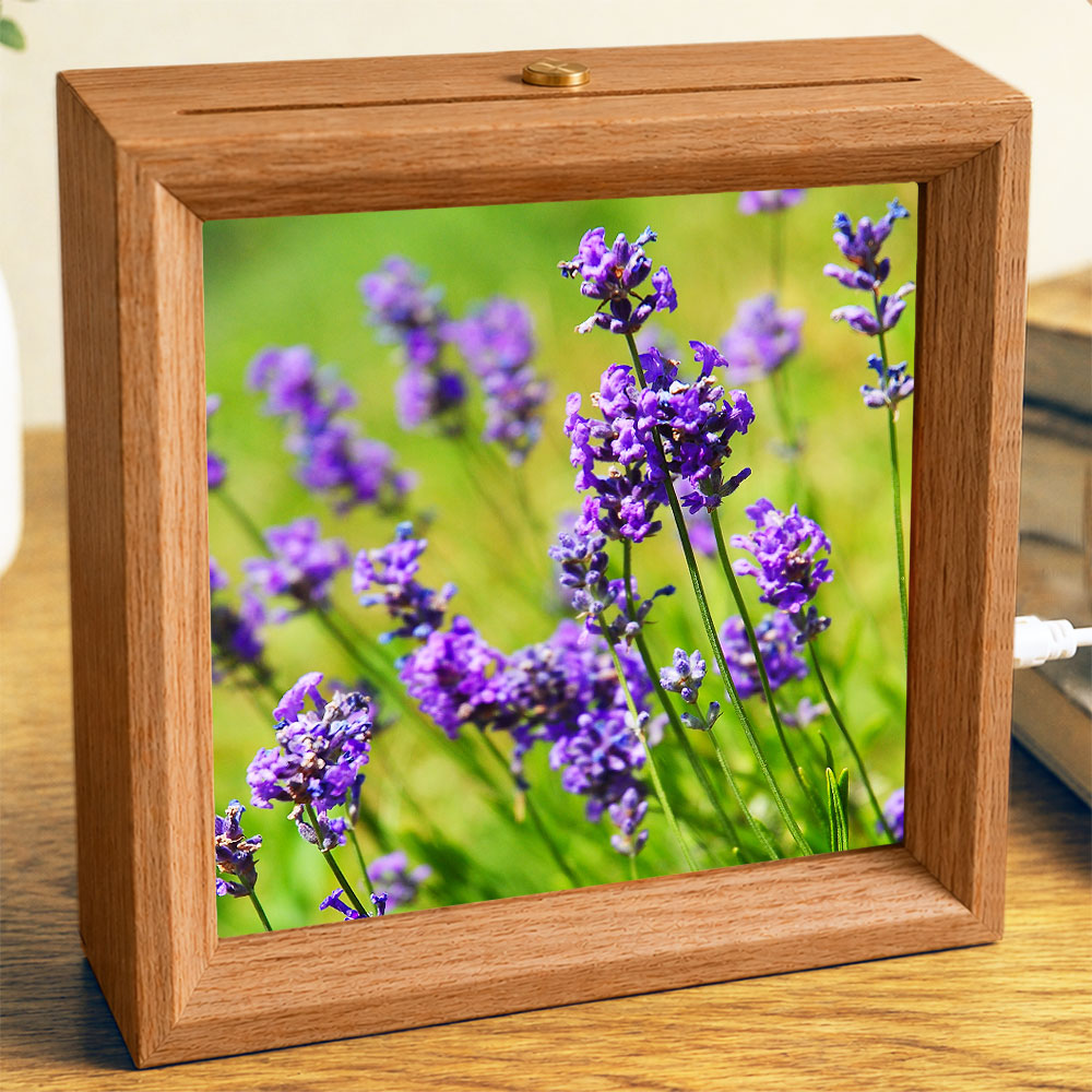 Lavender - Photo Square