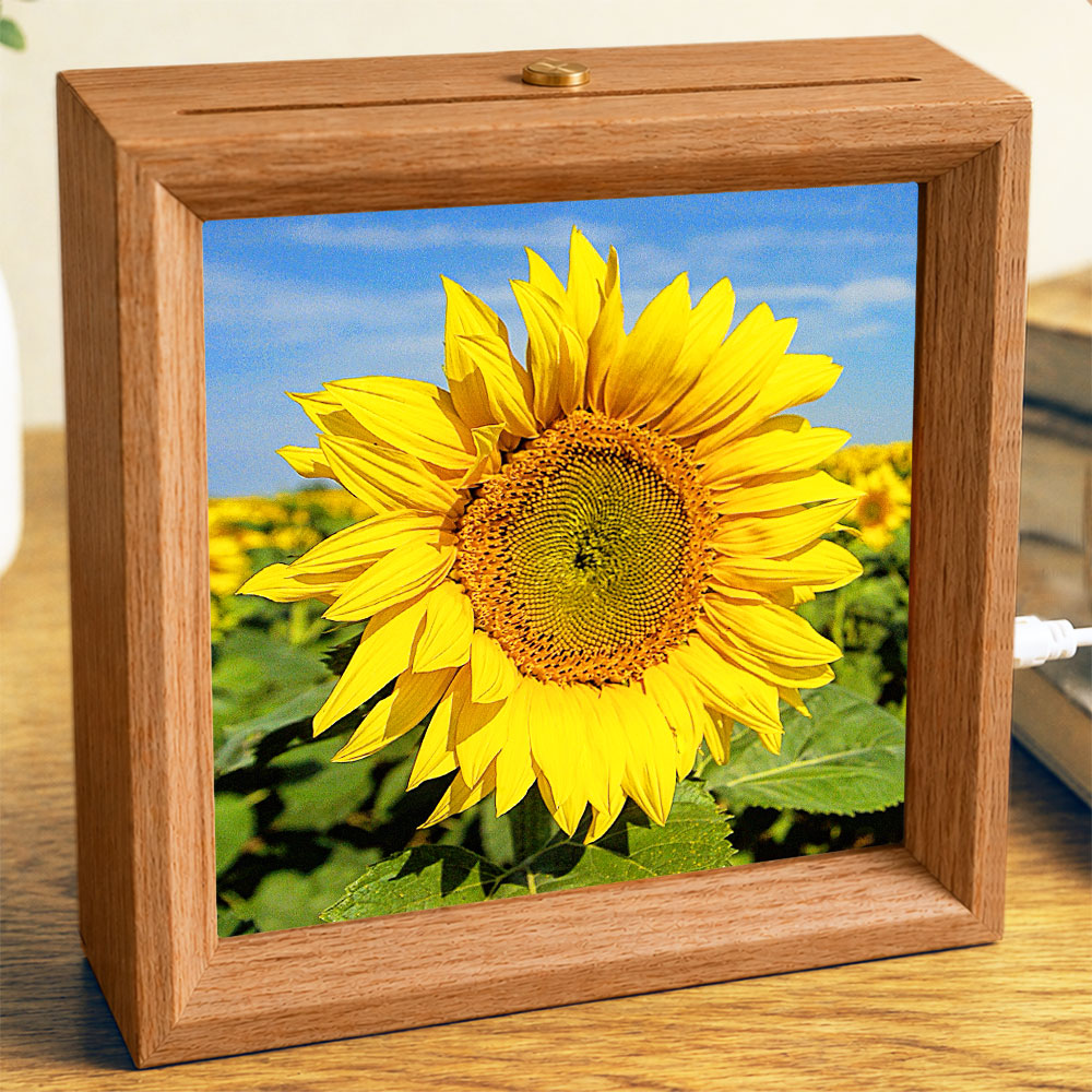 Sunflower Field - Photo Square